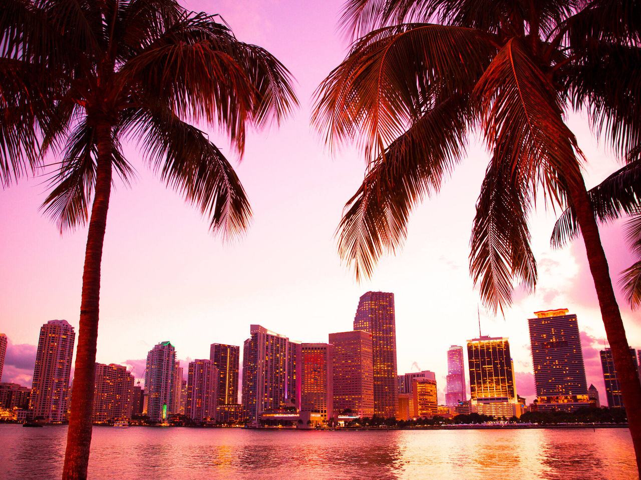 Downtown Miami and Brickell skyline across Biscayne Bay at dusk, framed by palm trees under a pink sky